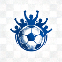 爱球吧官方网站Logo - 一个足球与篮球结合的抽象图形